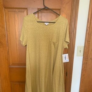 LulaRoe Carly  dress